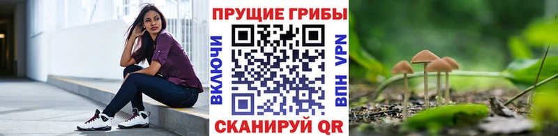 Псилоцибиновые грибы ЛСД  Алексин 